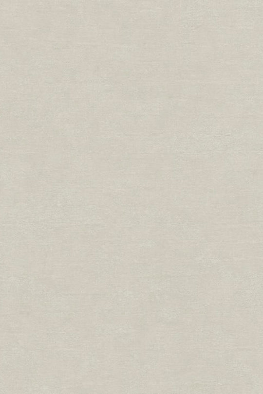 HookedOnWalls Passe Partout 2025 Tone on Tone Tone on Tone behang 4570Afbeelding 3