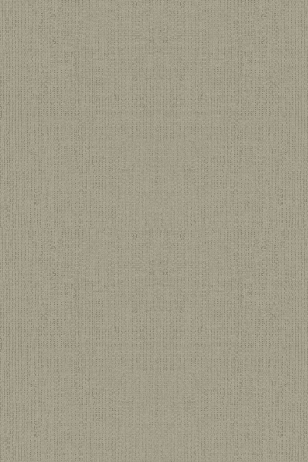 HookedOnWalls Passe Partout 2025 Tone on Tone Tone on Tone behang 4572Afbeelding 3