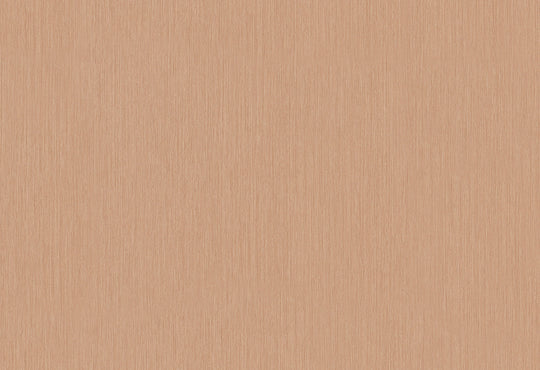 HookedOnWalls Terra Cotta Plain 3 behang 42134Afbeelding 1