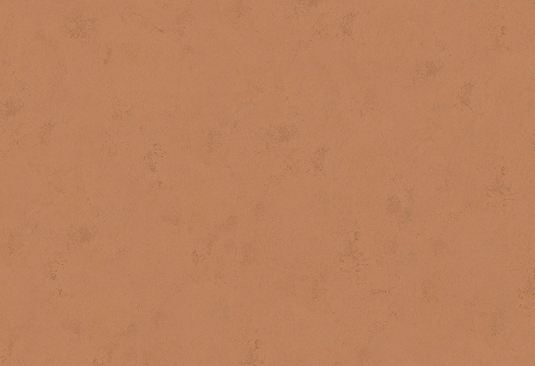 HookedOnWalls Terra Cotta Print 1 behang 42138Afbeelding 1