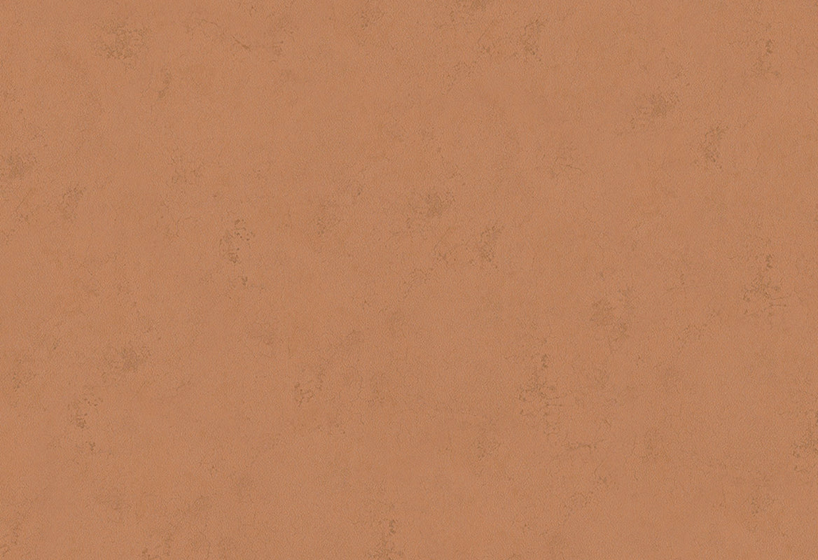 HookedOnWalls Terra Cotta Print 1 behang 42138Afbeelding 1