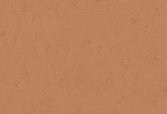 HookedOnWalls Terra Cotta Print 1 behang 42138Afbeelding 1