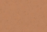 HookedOnWalls Terra Cotta Print 1 behang 42138Afbeelding 1