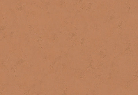 HookedOnWalls Terra Cotta Print 1 behang 42138Afbeelding 1