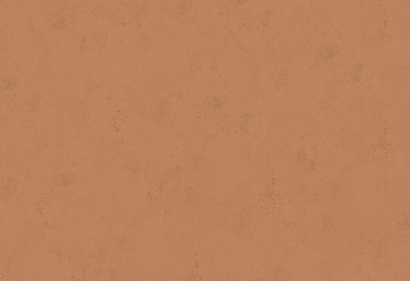 HookedOnWalls Terra Cotta Print 1 behang 42138Afbeelding 1