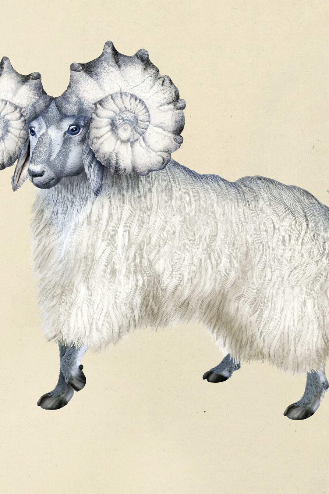 ARTE Pogo Goat Moooi Wallcovering Memento Moooi MO4051 afbeelding 5