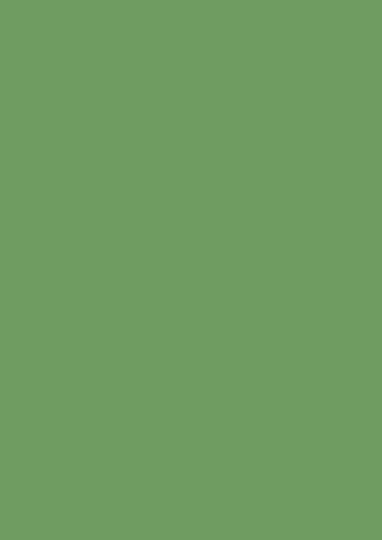 NEW: Estate Emulsion | Raw Tomatillo no. CB6
