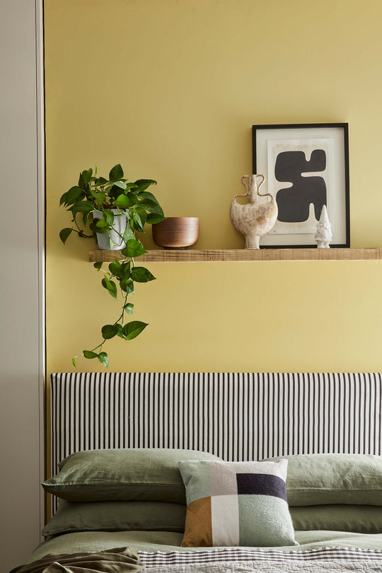 Interior Oil Eggshell | Sunlight no. 135