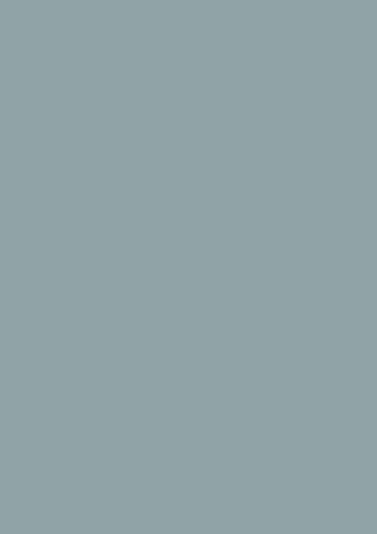 NEU: Moderne Eierschale | Sardine Nr. CB8
