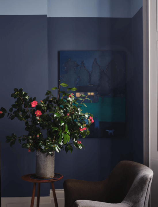 Modern Emulsion | Wine Dark no. 308
