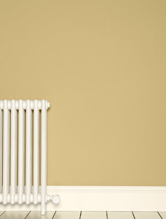Dead Flat | Cream no. 44