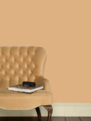 Modern Eggshell | Dutch Pink no. 62