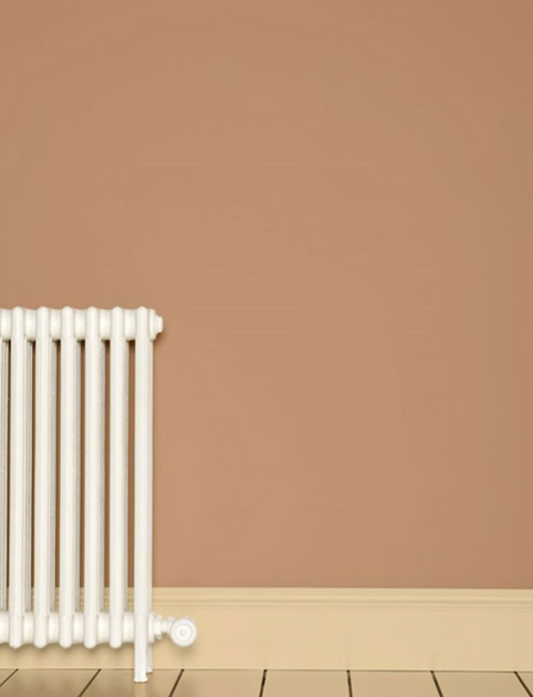 Farrow & Ball Limewash | Ointment Pink no. 21