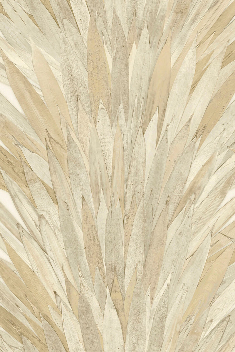 ARTE Abanico Selva 34000 afbeelding 1 "Naturel"