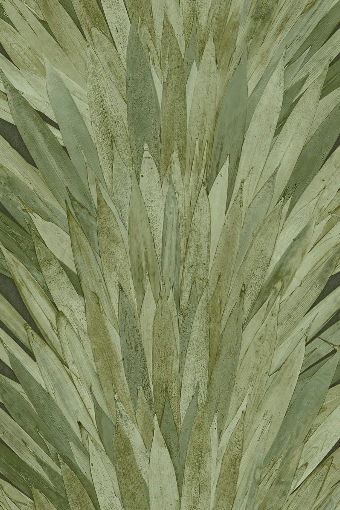 ARTE Abanico Selva 34001 afbeelding 1 "Groen"