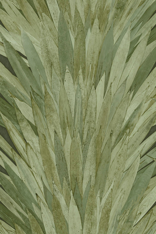 ARTE Abanico Selva 34001 afbeelding 1 "Groen"