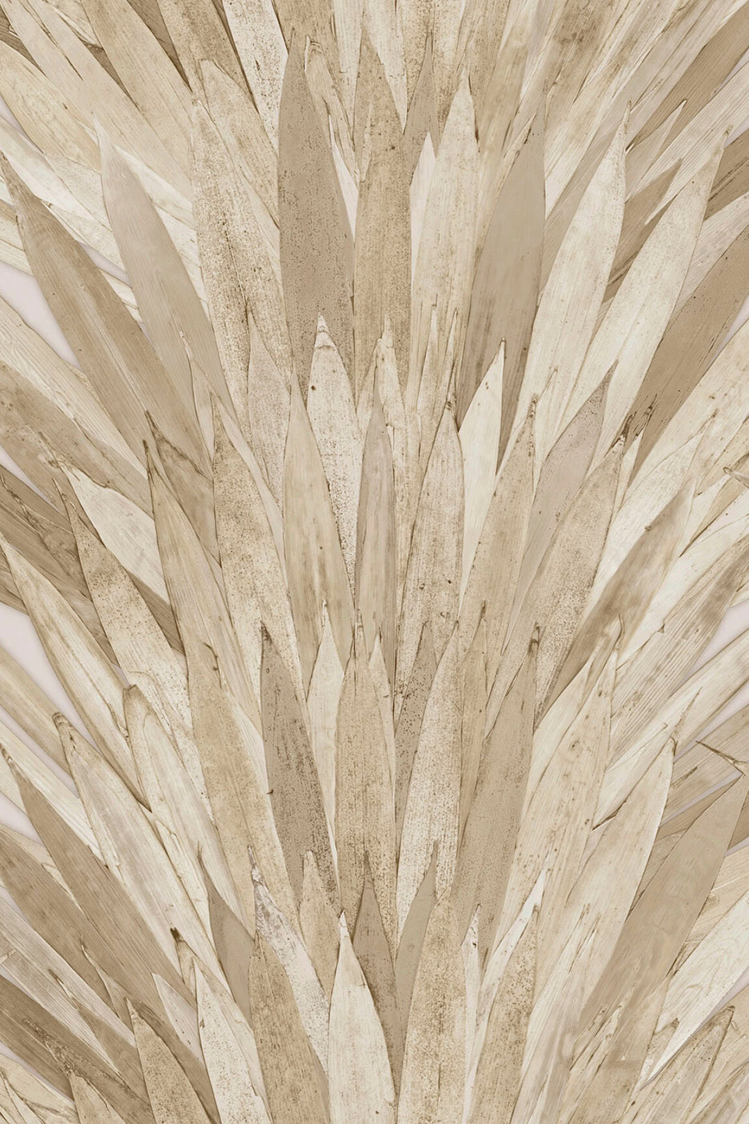 ARTE Abanico Selva 34004 afbeelding 1 "Naturel"