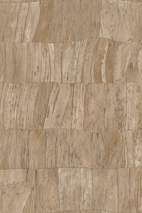 ARTE Capas Selva 34300 afbeelding 1 "Bruin"