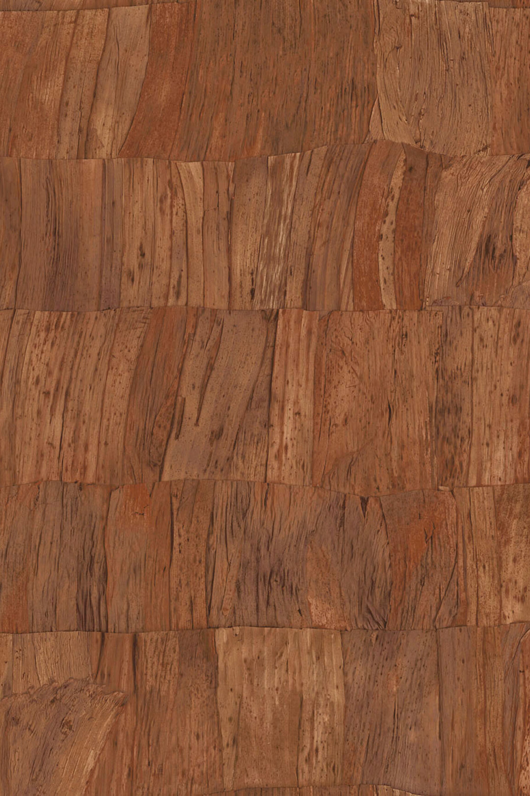 ARTE Capas Selva 34302 afbeelding 1 "Bruin"