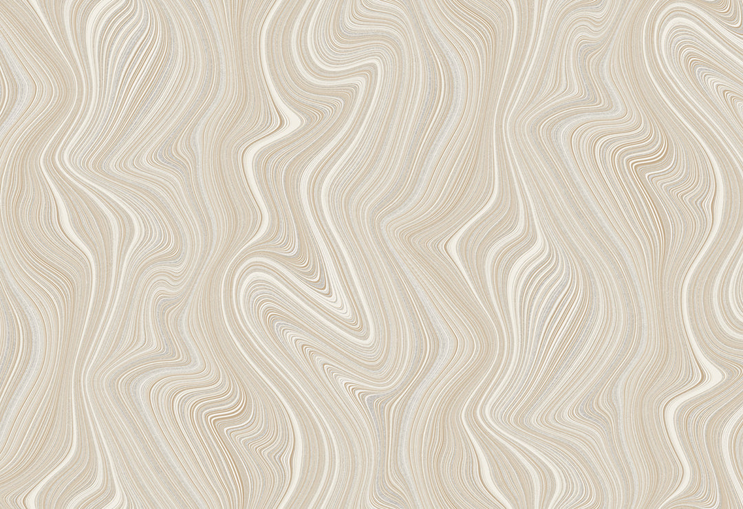 HookedOnWalls Silhouette Organic Lines behang 34853Afbeelding 1