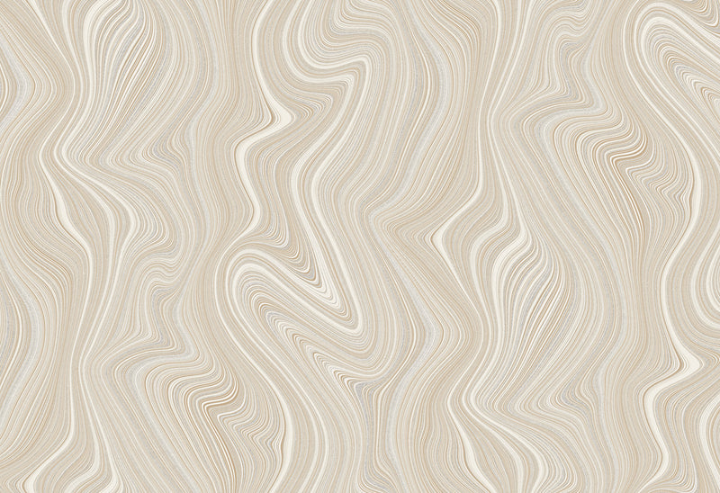 HookedOnWalls Silhouette Organic Lines behang 34853Afbeelding 1