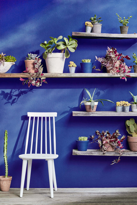 Intelligent Masonry Paint | Smalt no. 255