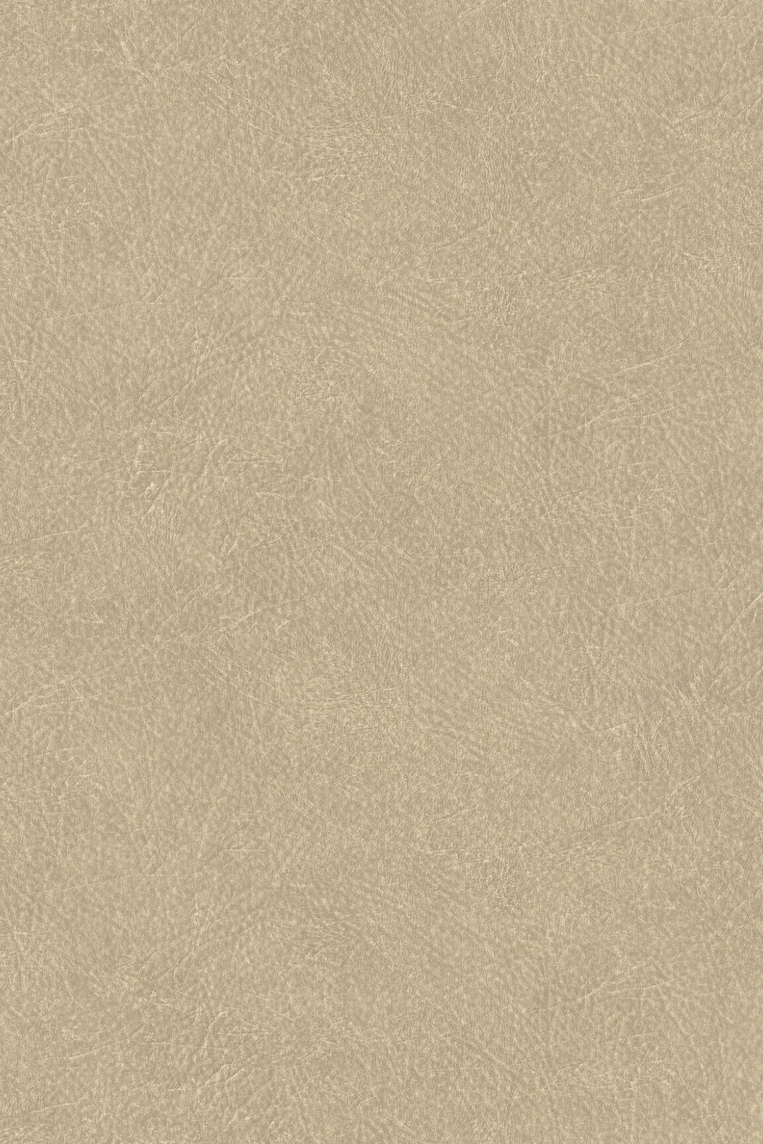 HookedOnWalls Tahiti Leather plain behang TA25021Afbeelding 3