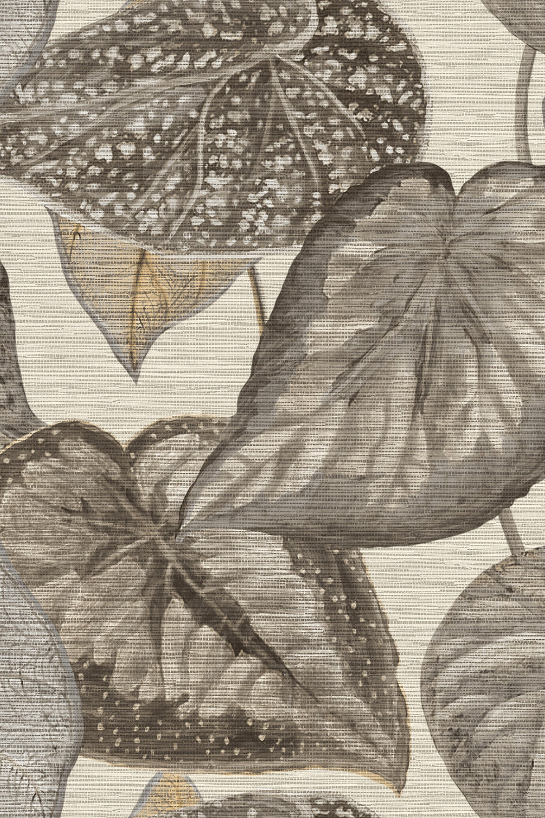HookedOnWalls Tahiti Tropical leaves behang TA25050Afbeelding 5