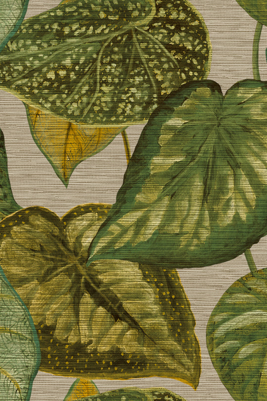 HookedOnWalls Tahiti Tropical leaves behang TA25052Afbeelding 5
