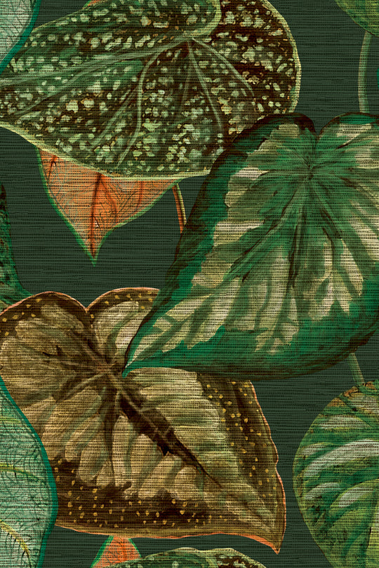 HookedOnWalls Tahiti Tropical leaves behang TA25054Afbeelding 5