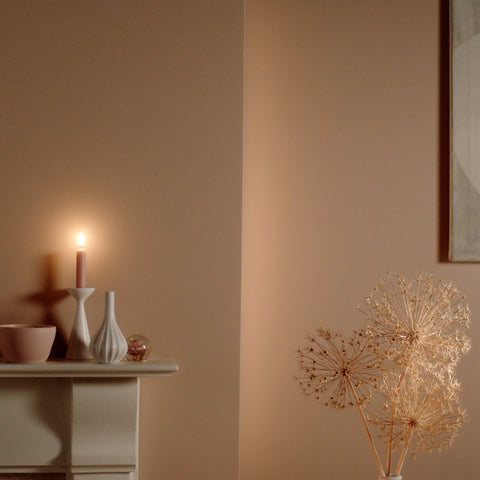 Modern Eggshell | Templeton Pink no. 303