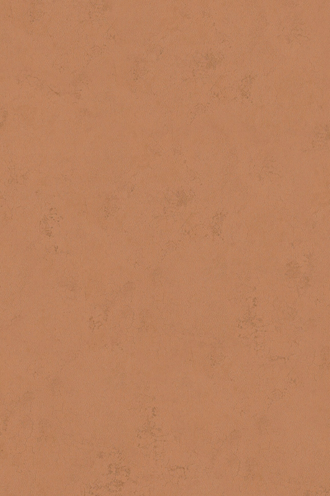 HookedOnWalls Terra Cotta Print 1 behang 42138Afbeelding 6