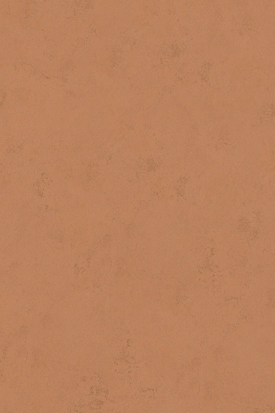 HookedOnWalls Terra Cotta Print 1 behang 42138Afbeelding 6
