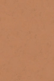 HookedOnWalls Terra Cotta Print 1 behang 42138Afbeelding 6