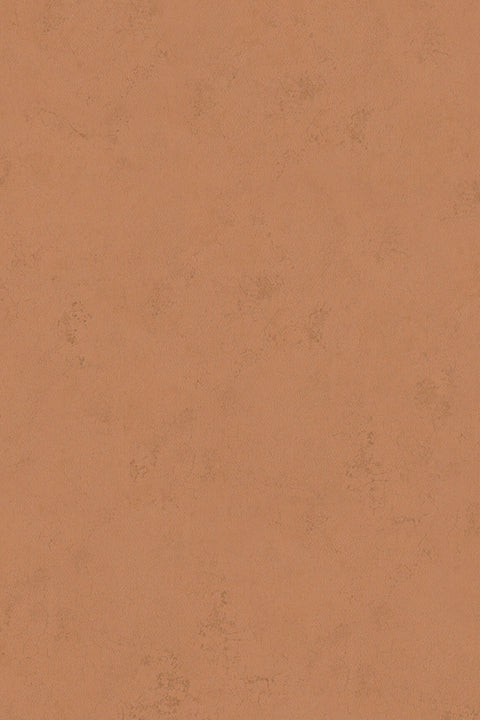 HookedOnWalls Terra Cotta Print 1 behang 42138Afbeelding 6