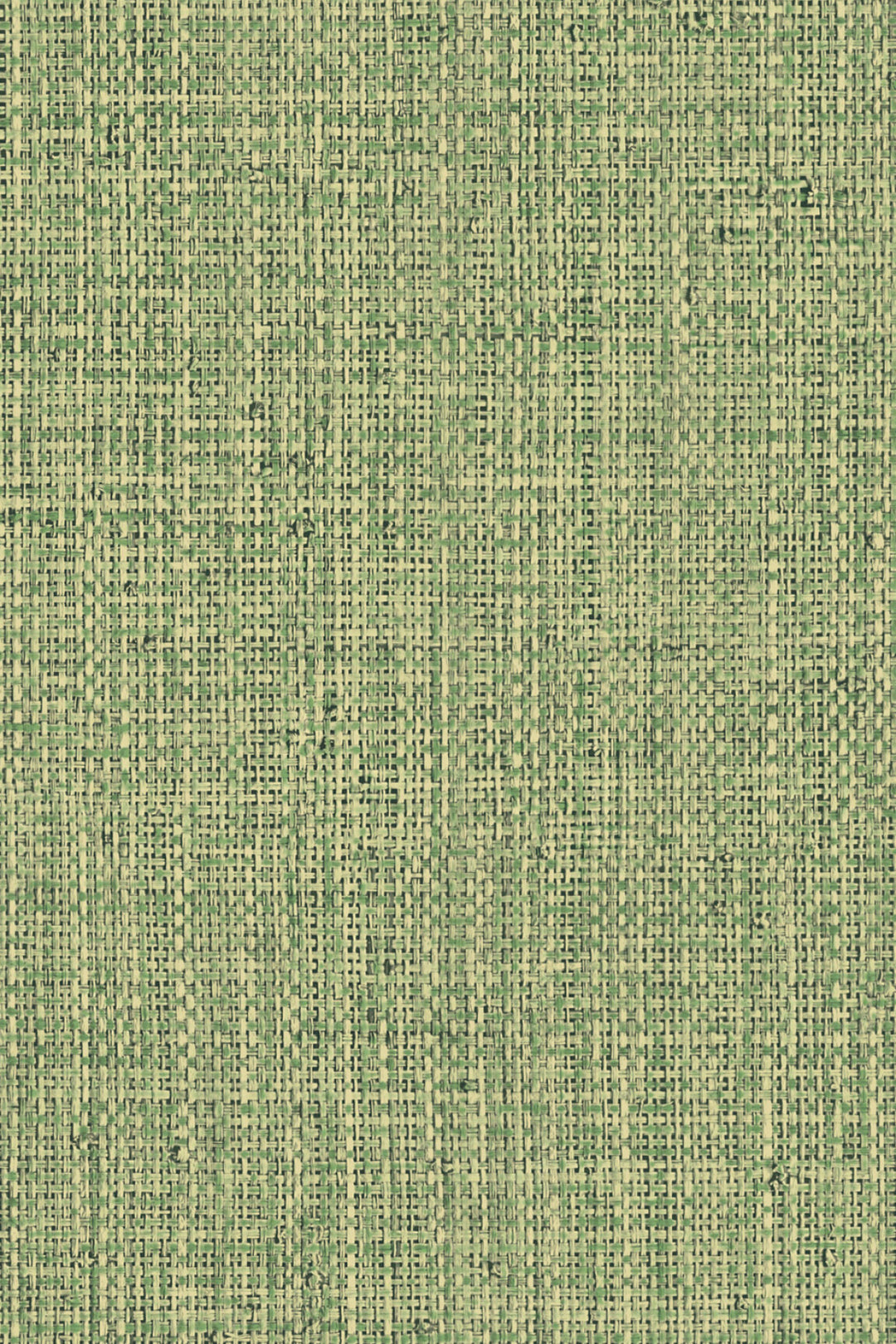 ARTE Nongo Textura 49517A afbeelding 1 "Groen"