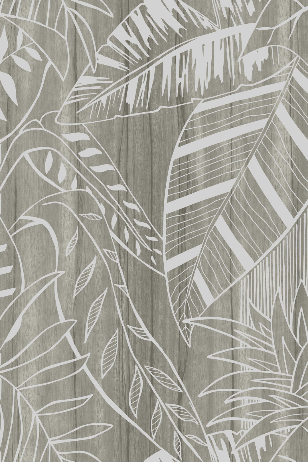 ARTE Eden Wildwalk 28011 afbeelding 1 "Zwart / Grijs","Zilver"