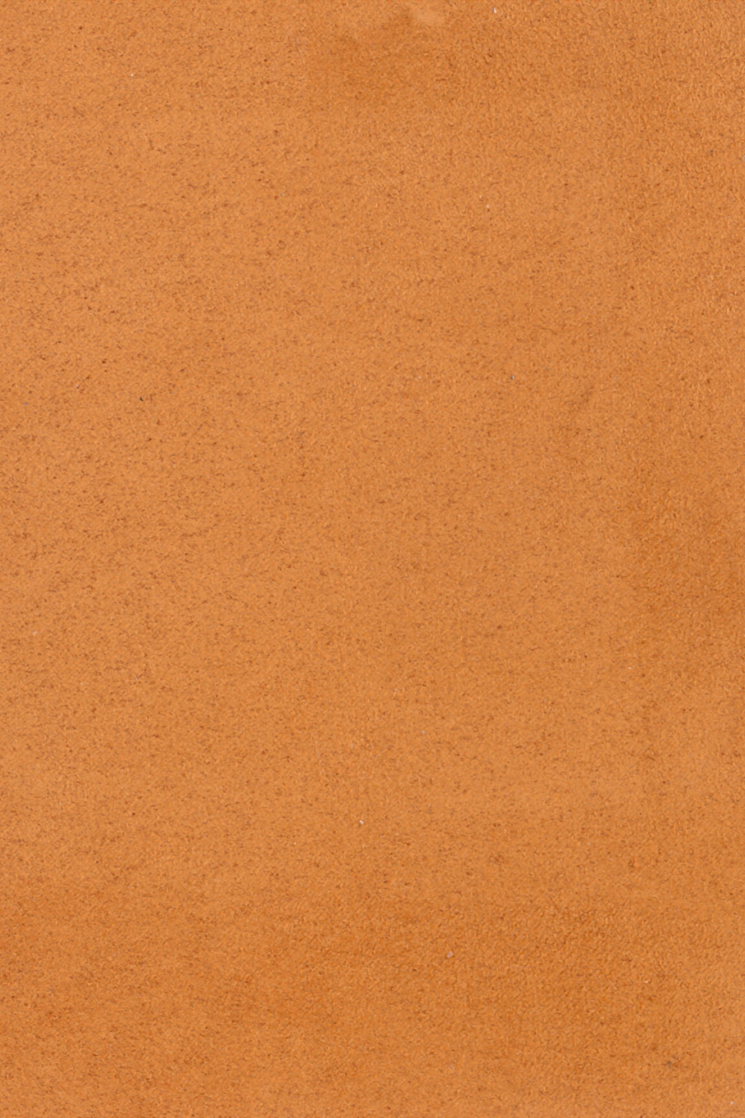 ARTE Noble Wildwalk 28510 afbeelding 1 "Oranje","Oranje"