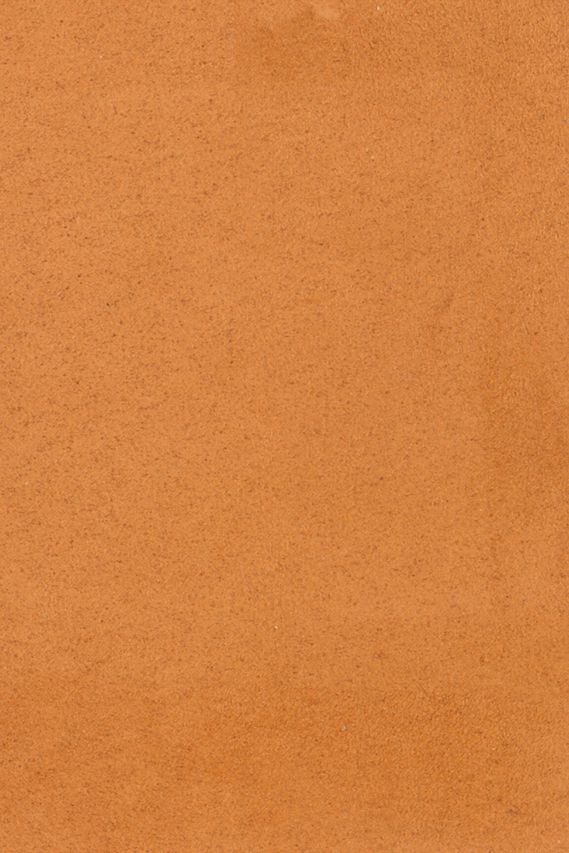 ARTE Noble Wildwalk 28510 afbeelding 1 "Oranje","Oranje"