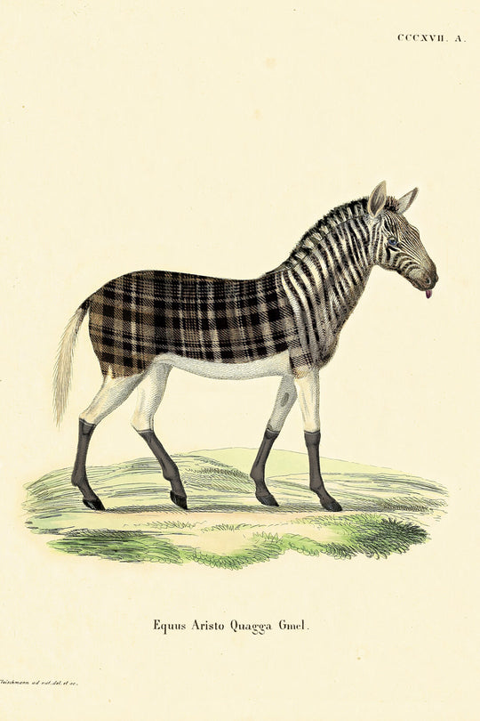 ARTE Aristo Quagga Moooi Wallcovering Extinct Animals MO2034 afbeelding 4