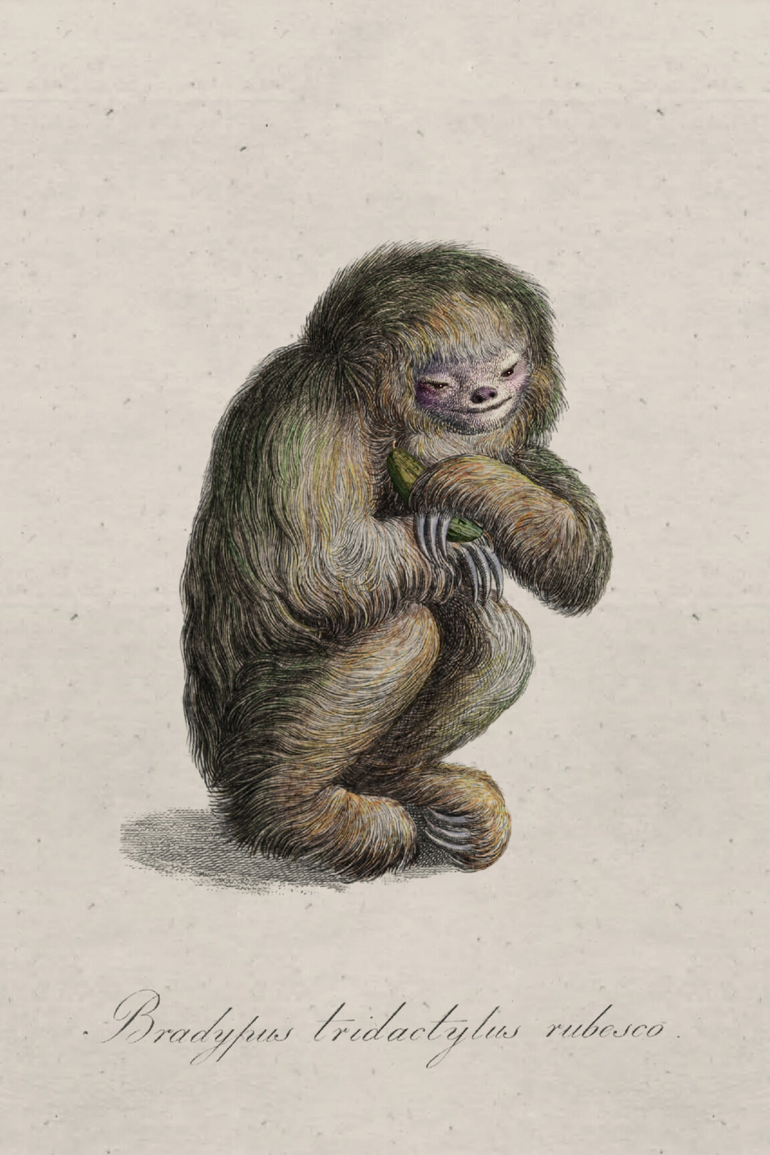 ARTE Blushing Sloth Moooi Wallcovering Extinct Animals MO2044 afbeelding 4