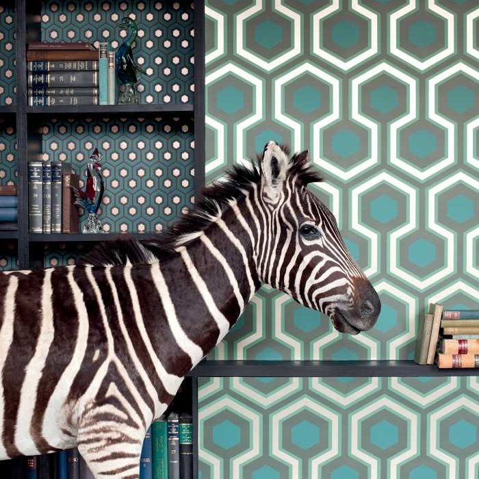 Cole &amp; Son The Contemporary Selection Hicks&