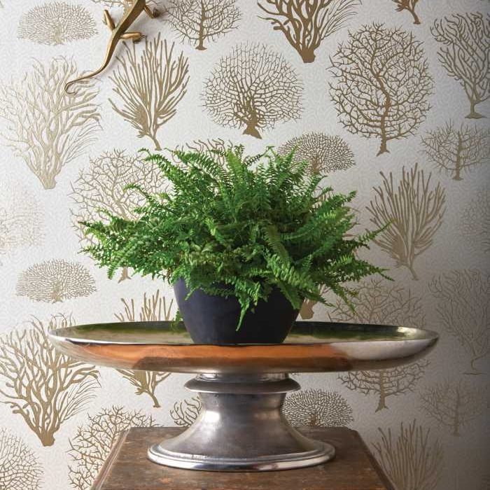 Cole &amp; Son Curio Seafern behang 107/2011