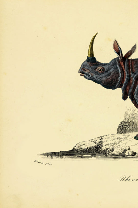ARTE Dwarf Rhino Moooi Wallcovering Extinct Animals MO2085 afbeelding 4