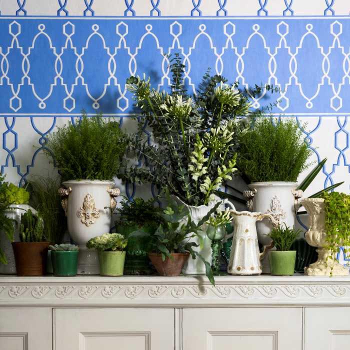 Cole &amp; Son Folie Parterre Border behang 99/3017