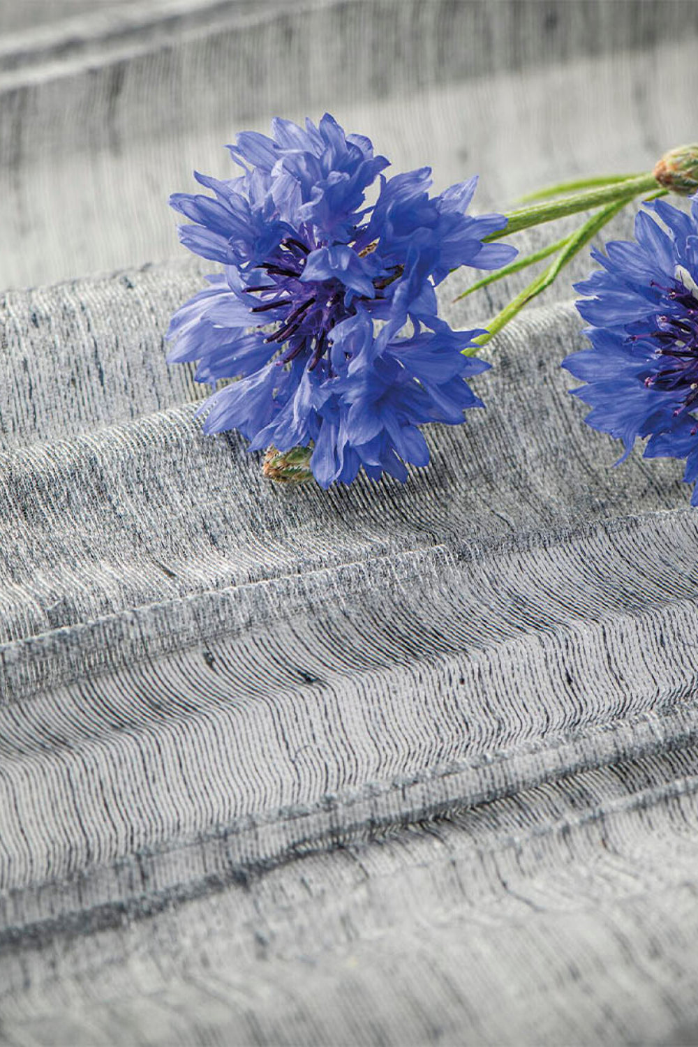 ARTE Pleats Please Ode ODE4102 afbeelding 3