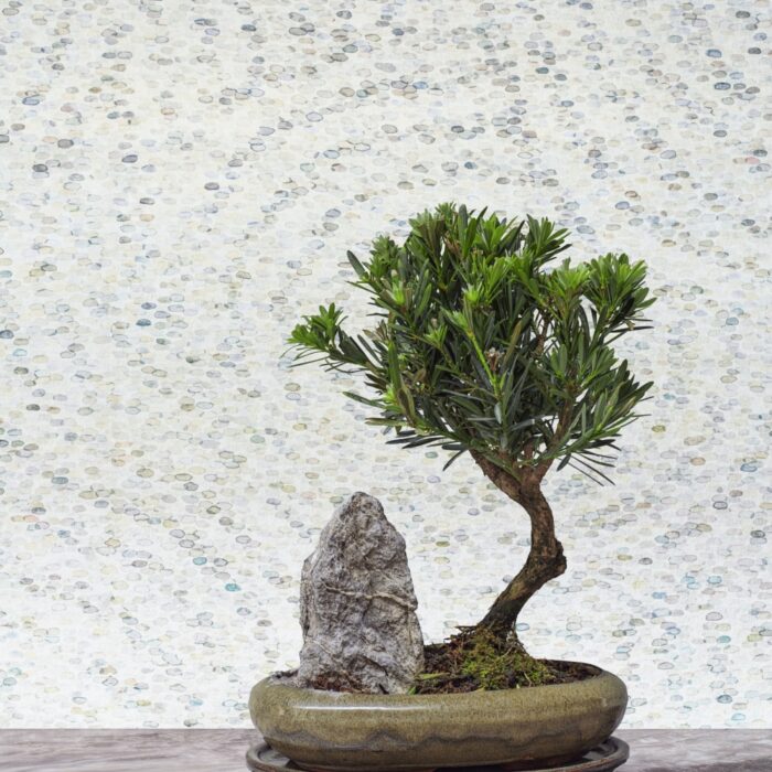 Cole &amp; Son Shinrin Yoku Meditation Stone behang 126/3007
