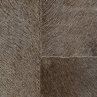 ÉLITIS Appaloosa Indomptee Project Behang CV_113_14