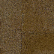 ÉLITIS Appaloosa Indomptee Project Behang CV_113_10