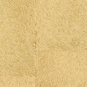 ÉLITIS Appaloosa Indomptee Project Behang CV_113_11
